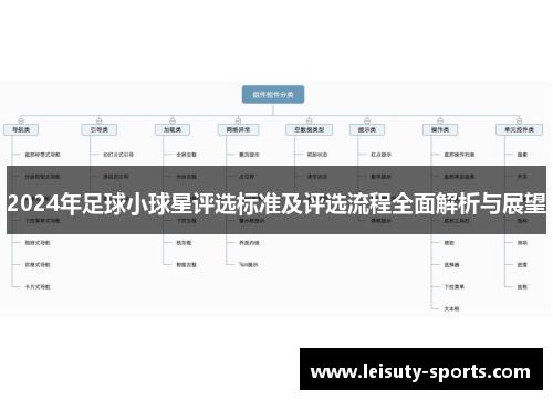 2024年足球小球星评选标准及评选流程全面解析与展望